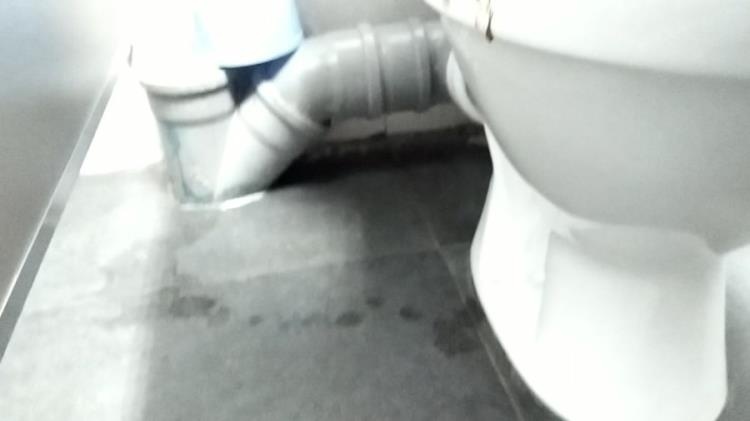 nastygirl - Diarhea and pee in WC [2021 | FullHD] - Scatshop