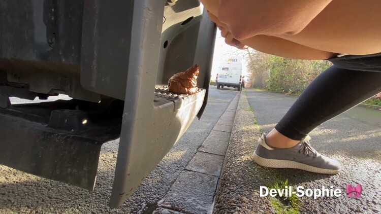 Devil Sophie - OMG - how does the shit get onto the truck running board [2022 | UltraHD/4K]