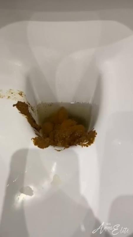 A big pile of shit in the toilet. P1 [2024 | HD]