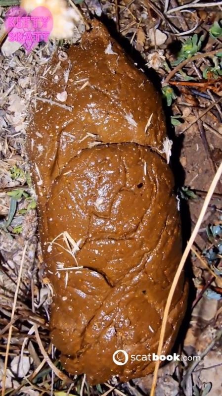 Open Field Outdoor Poo on Festival. P1 [2024 | UltraHD/2K]