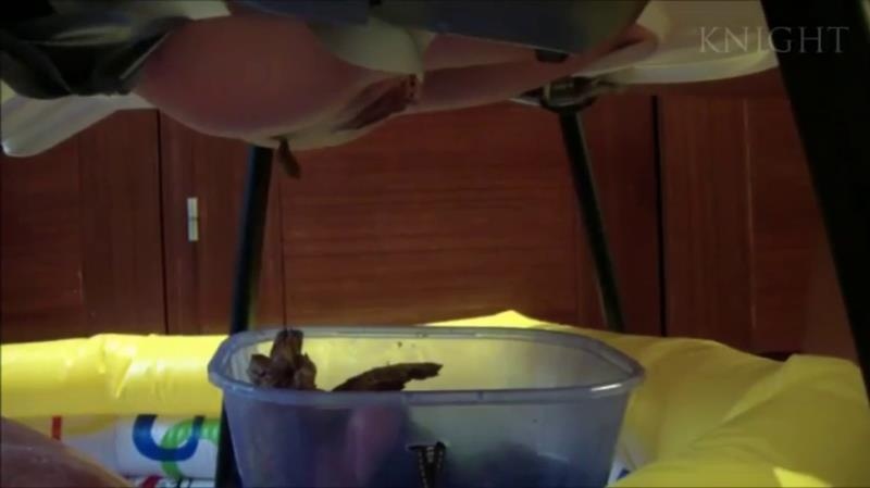Young Girls Poop From Chair On Slave In Pool P1 [2025 | SD]