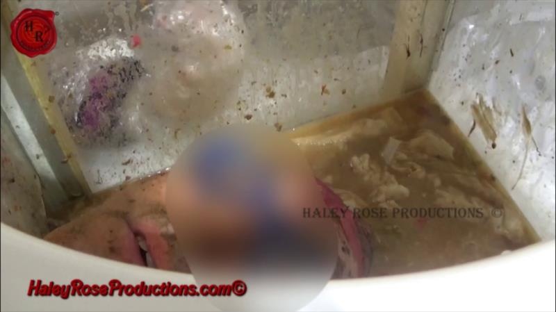 Haley Rose Productions - 12 Hours Locked in Toilet Box Part 2 [2025 | FullHD]