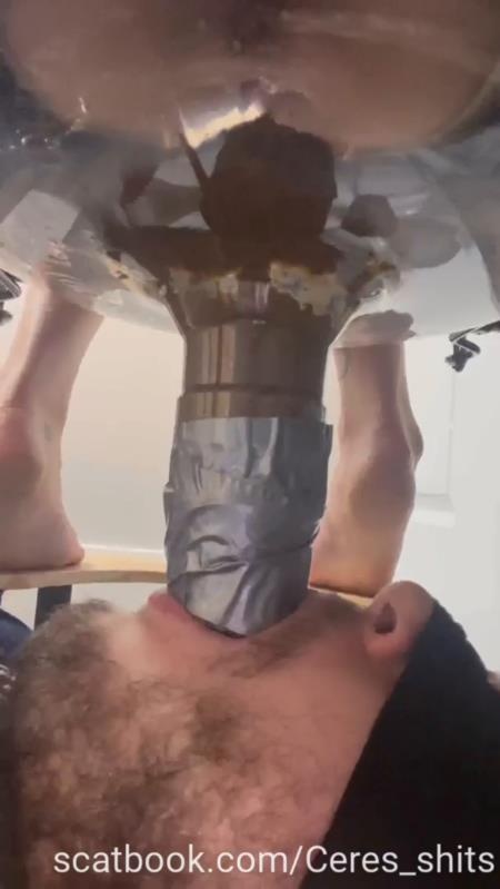 Toilet Annihilation with Goddess Ceres P1 [2025 | SD]