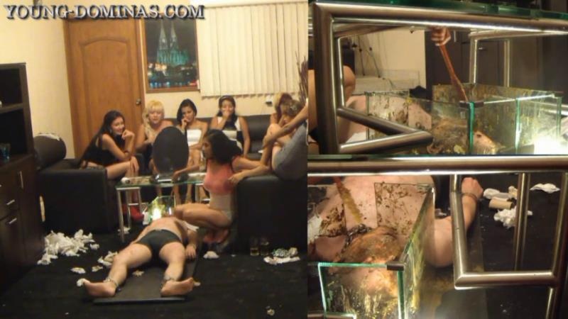 Young Dominas - Sorry Slave, you stay, until you swallowed all the Shit Part 10 HD. P1 [2025 | HD]