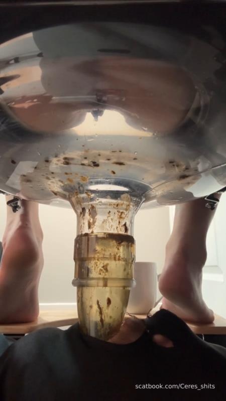 Goddess Ceres - 2025-11-03 - My Diarrhea Recepticle [2025 | SD]