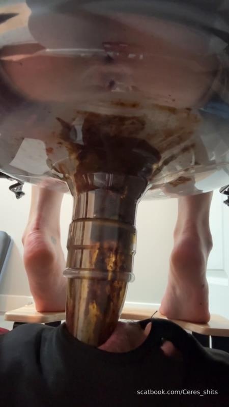 Goddess Ceres - Daily Toilet Torture » Mixfemdomcc - Latest Femdom Porn for Online Streaming [2025 | SD]