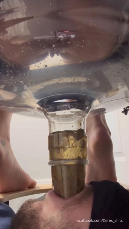 Goddess Ceres - Human Toilet's First Malfunction Infinite Shit Down Your Throat » Mixfemdomcc - Latest Femdom Porn for Online Streaming [2025 | SD]