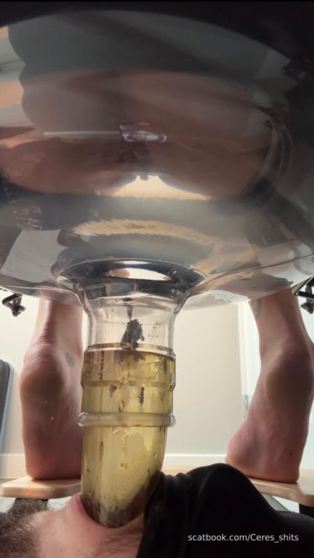 Goddess Ceres - Five Levels of Shit » Mixfemdomcc - Latest Femdom Porn for Online Streaming [2025 | SD]