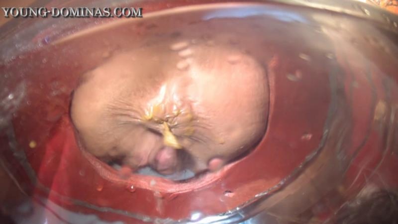 The Poop Barril Part 3 HD. P1 [2026 | HD]