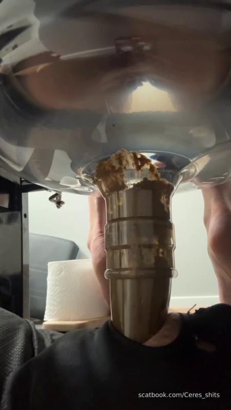 Daily Toilet Torture P1 [2026 | SD]