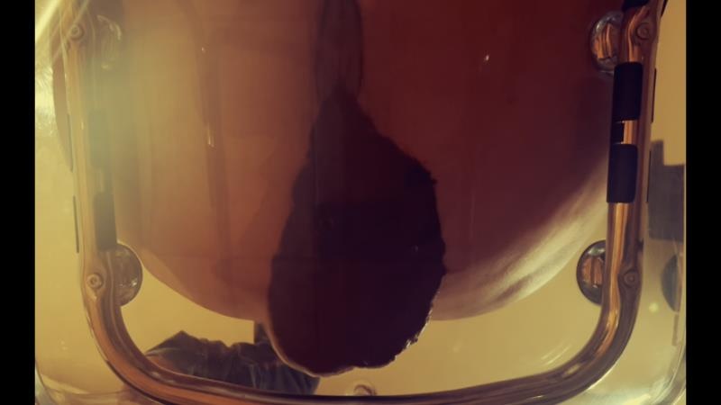 Poop in transparent chair [2026 | HD]