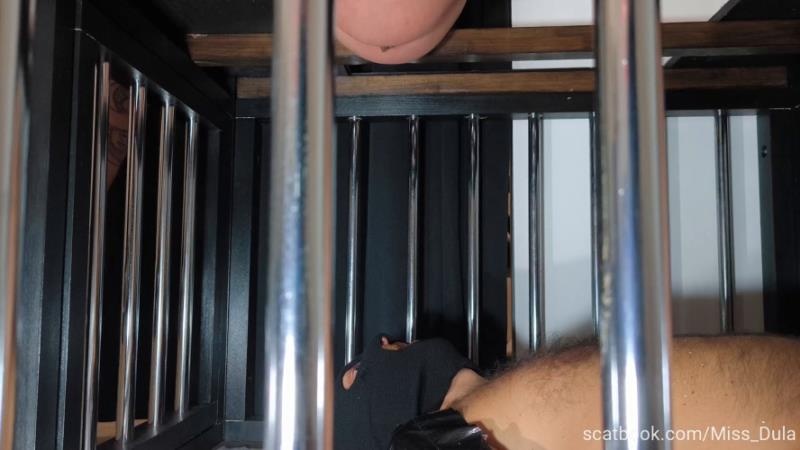 MISS DULA - My Poop In His Mouth » Mixfemdomcc - Latest Femdom Porn for Online Streaming [2026 | FullHD]