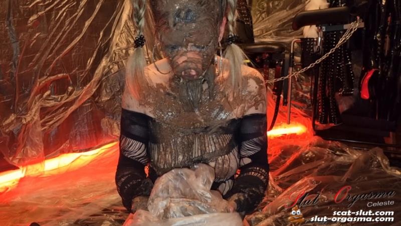 Extreme disgusting scat pig shitting puking swallowing [2026 | FullHD]