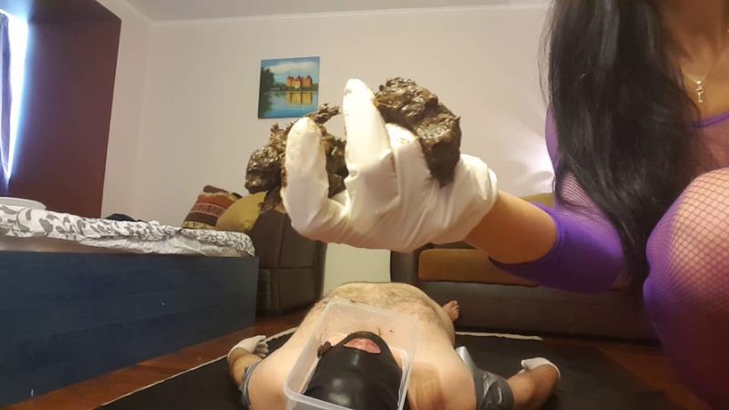 Pooping On My Slave’s Face [2026 | FullHD]