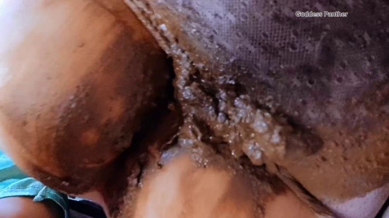 thefartbabes - Huge Panty Poop Lover [2026 | FullHD]