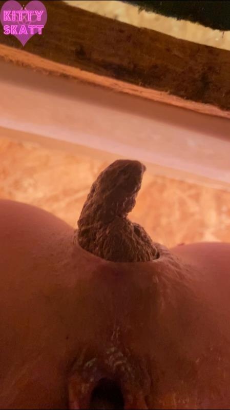 Kitty Skatt - POV hookup in festival toilet [2026 | SD]