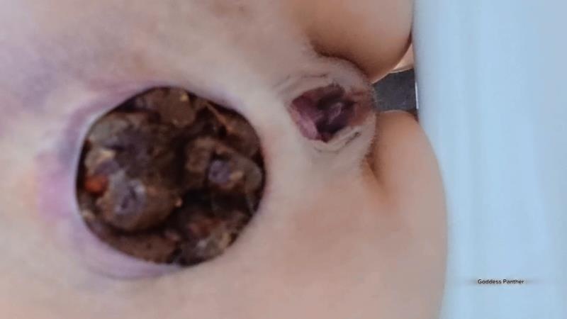 Goddess Panther - Constipated Dose In Your Mouth [2026 | FullHD]