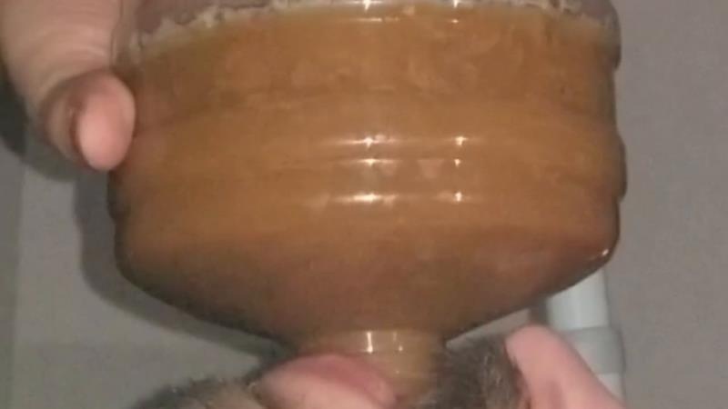 SSBBW Queen Siya - Chugging LITERS of my poop-flavored pee [2026 | HD]