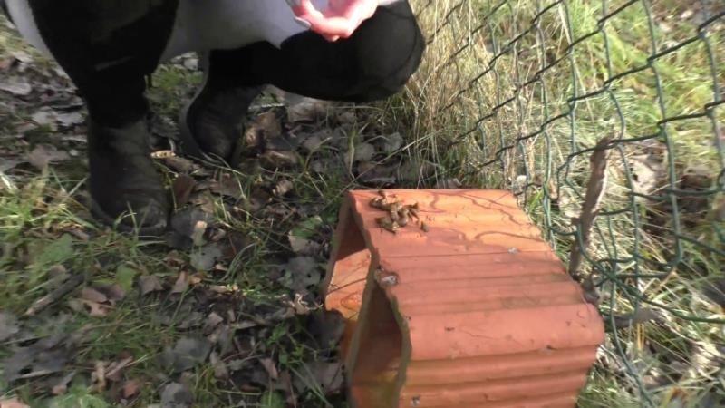 HotDirtyIvone - Compilation Dump Set 177 Videos P16 [2026 | FullHD]