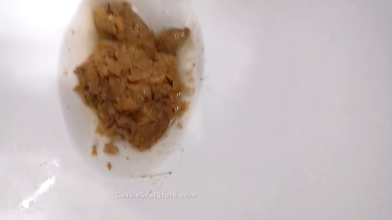 CassieScat - Holding in a Shart Explosion – The Recipe for Rank, Juicy F… [2026 | FullHD]