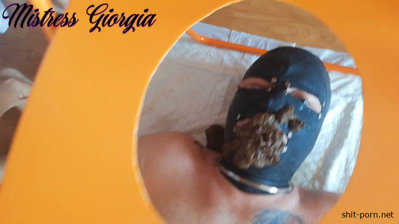 Mistress Giorgia - morning shit » Mixfemdomcc - Latest Femdom Porn for Online Streaming [2026 | FullHD]